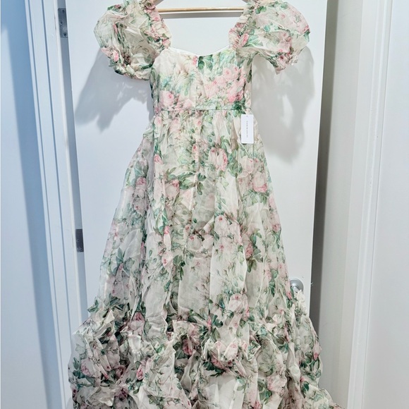 Selkie Garden Roses Ritz Dress NWT XS - Picture 3 of 5